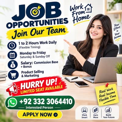 Professional Remote Work Opportunity.