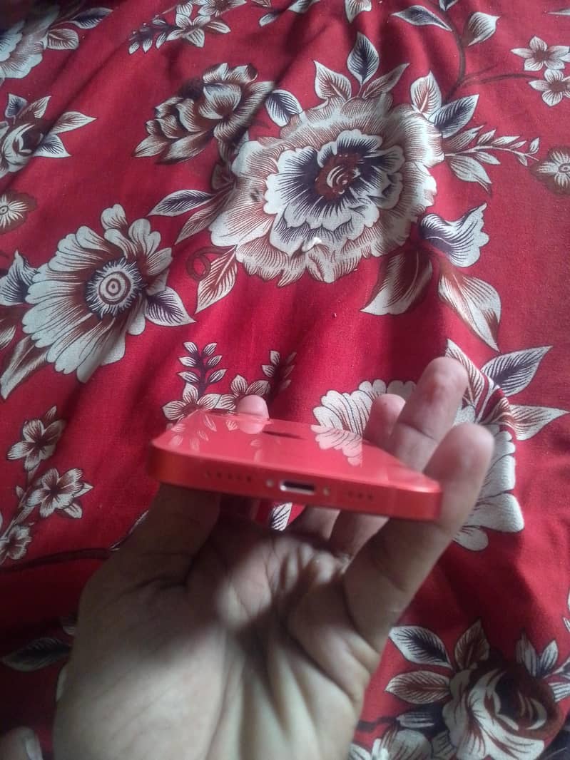 Apple iPhone 12 1