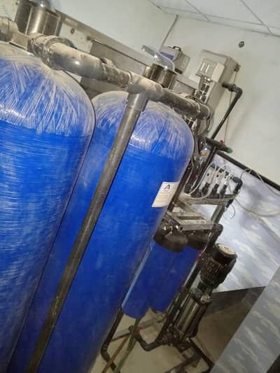Water plant for sale