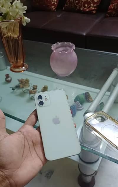 iPhone 12 64GB For Sale