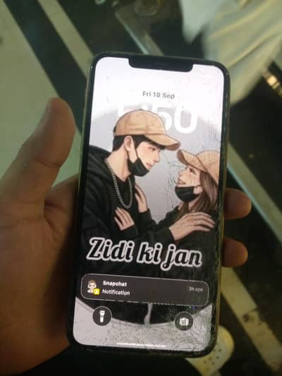 iPhone 11 Pro Max only panal display