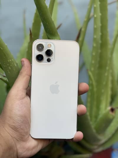 Apple iPhone 12 Pro PTA