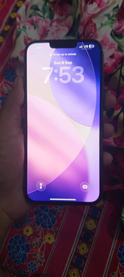Apple iPhone 13 Pro Max