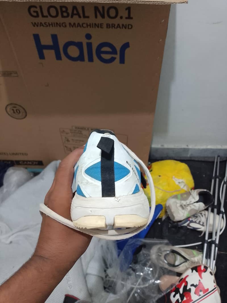 CA SPIKES 2