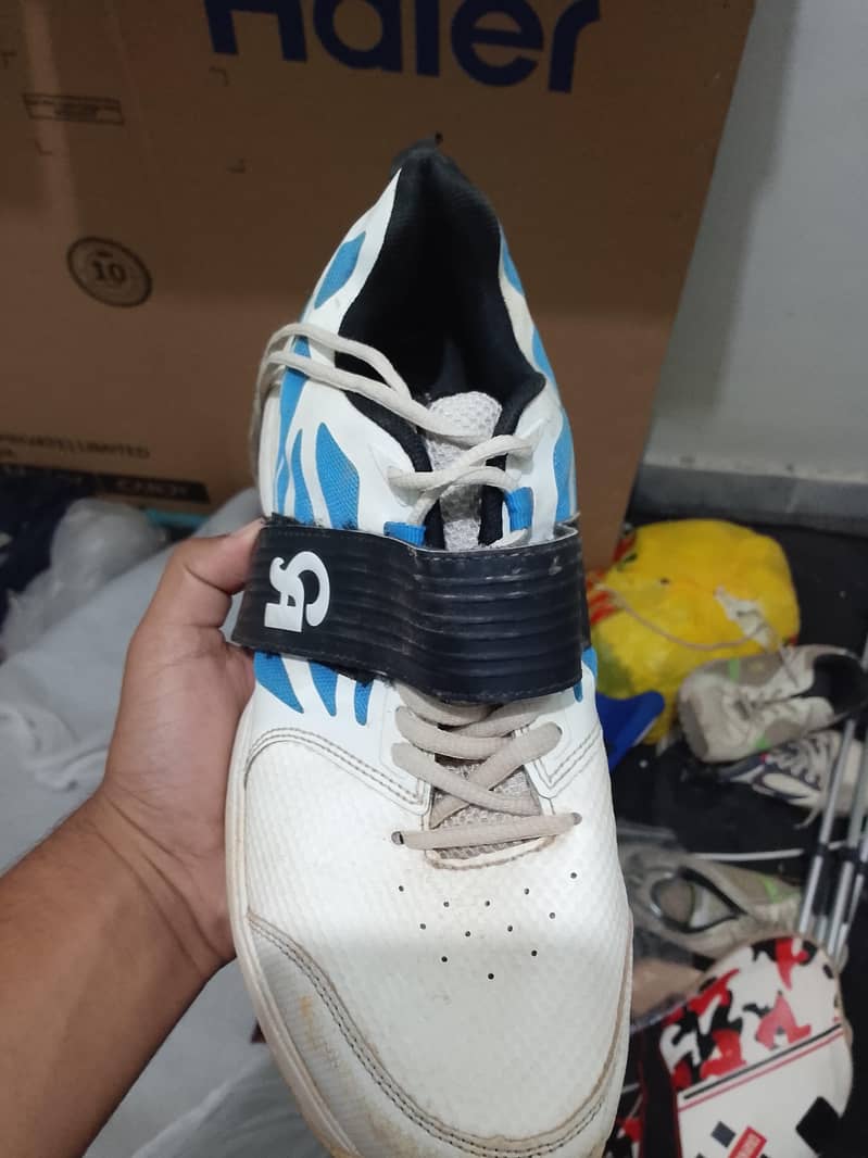 CA SPIKES 5