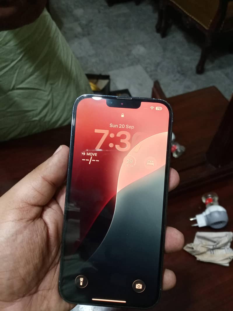 Apple iPhone 13 Pro Max 2