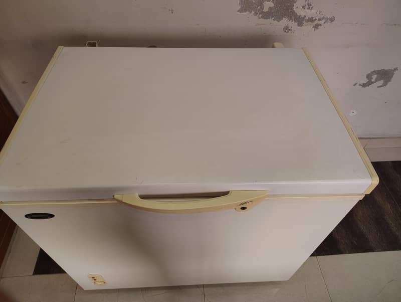 WAVES freezer 4