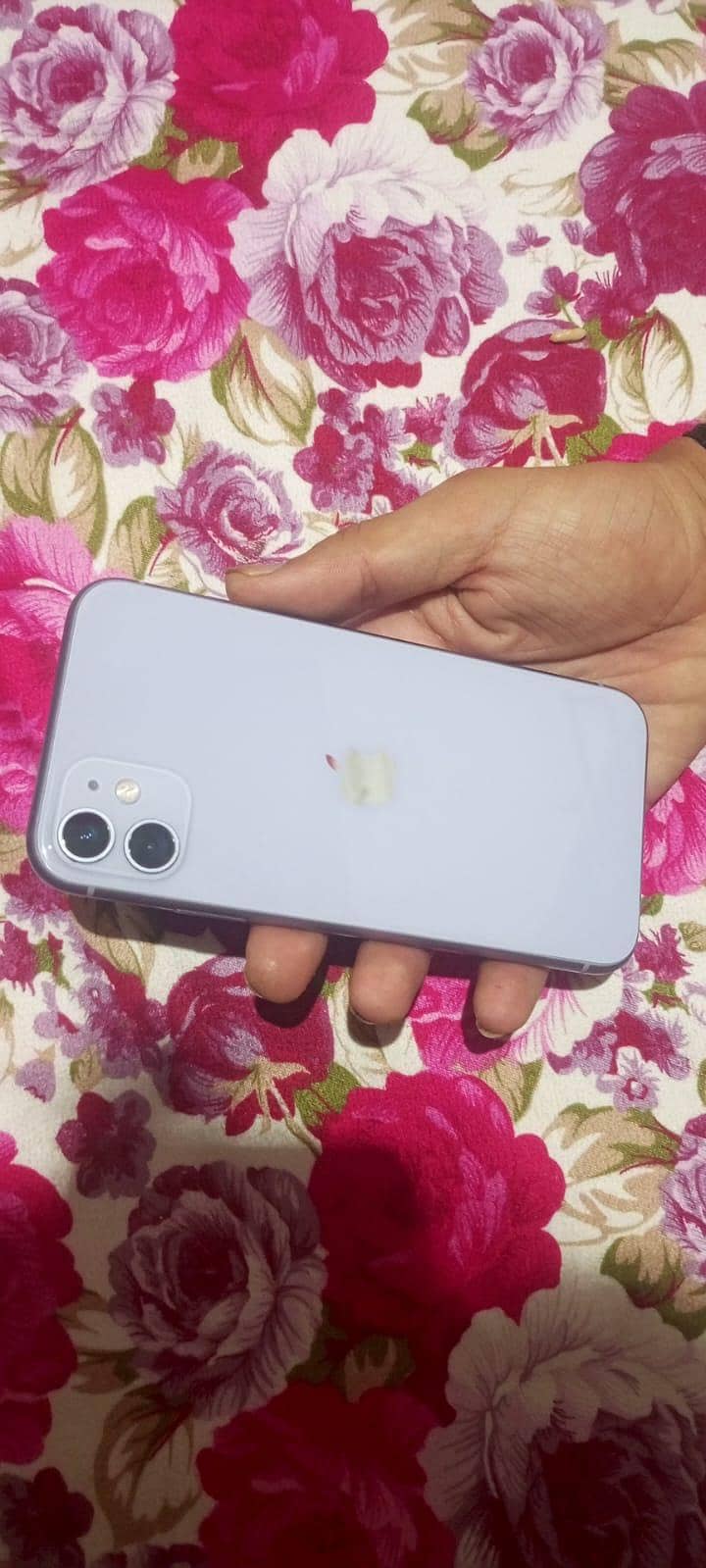Apple iPhone 11 0