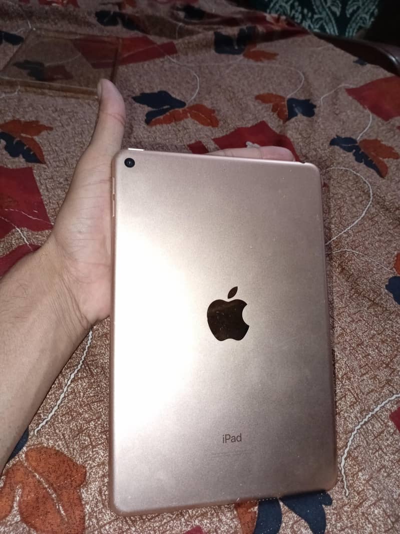 ipad mini 5 1
