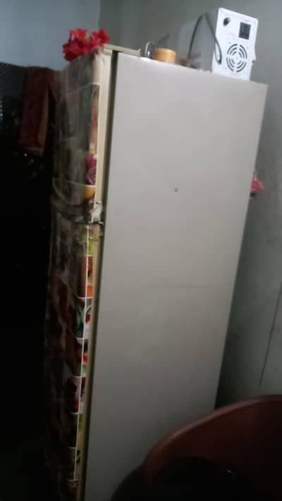 achi ha sari saff