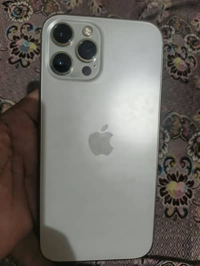 Apple iPhone 12 Pro Max