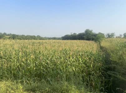 Haripur new city bypass investment opportunity 20 kanal available
