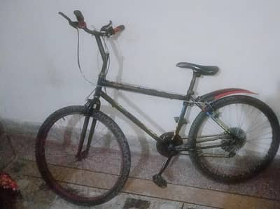 A Beautiful Bicycle