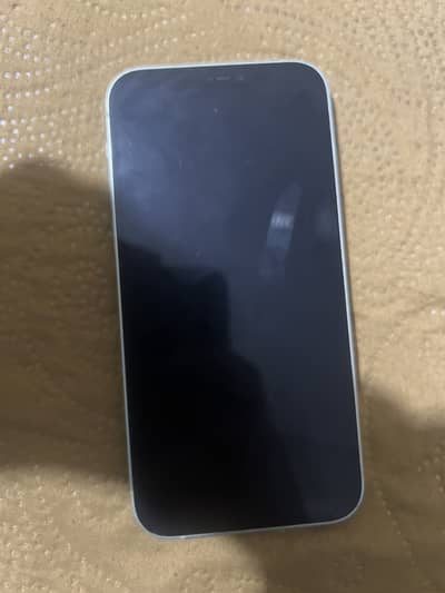 Apple iPhone 12