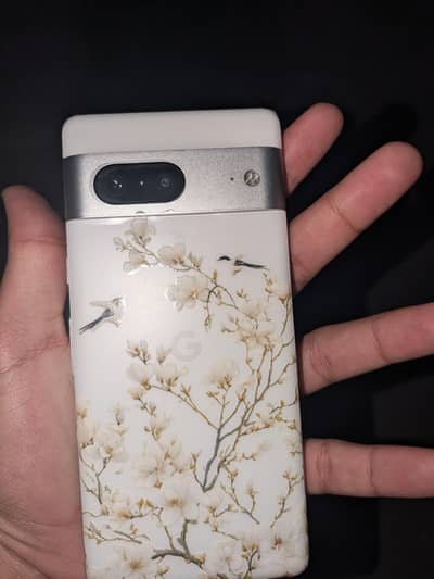 Google Pixel 7 official Pta