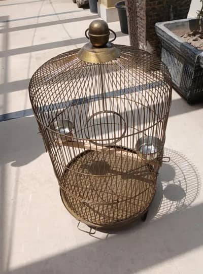Cage for Parrot