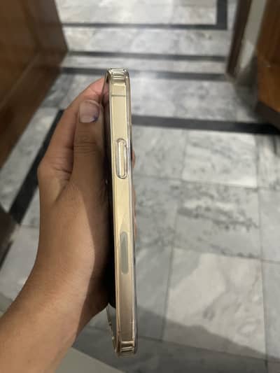 Apple iPhone 12 Pro