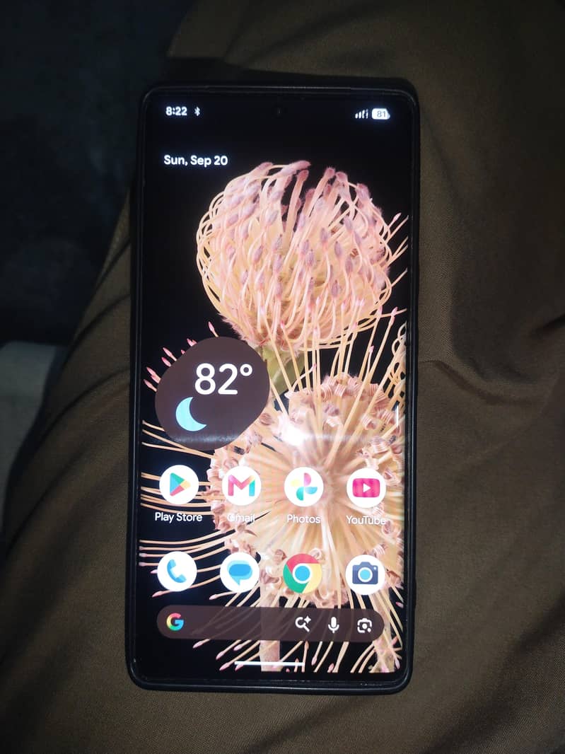 Google Pixel 6 Pro 2