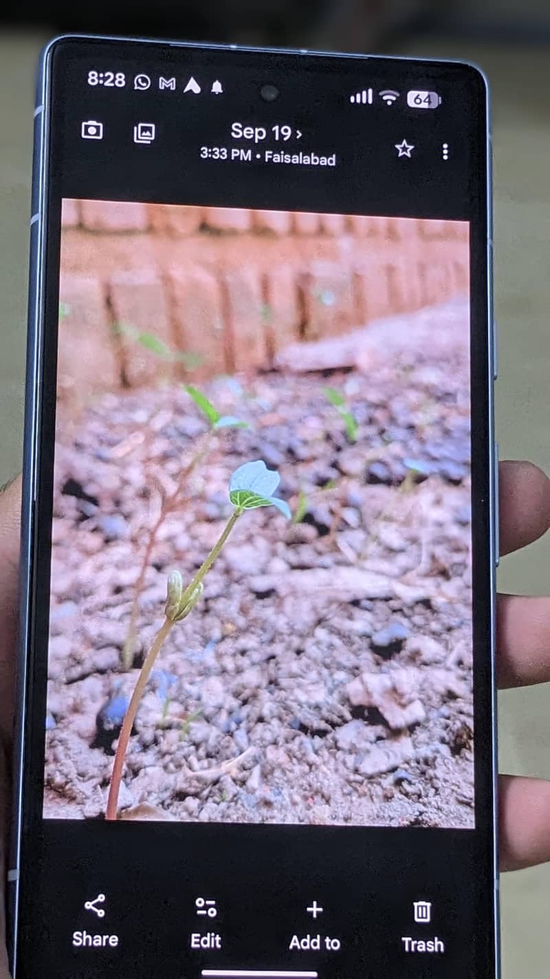 Google Pixel 7a 4