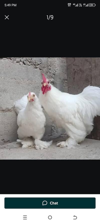 sbrhma pair