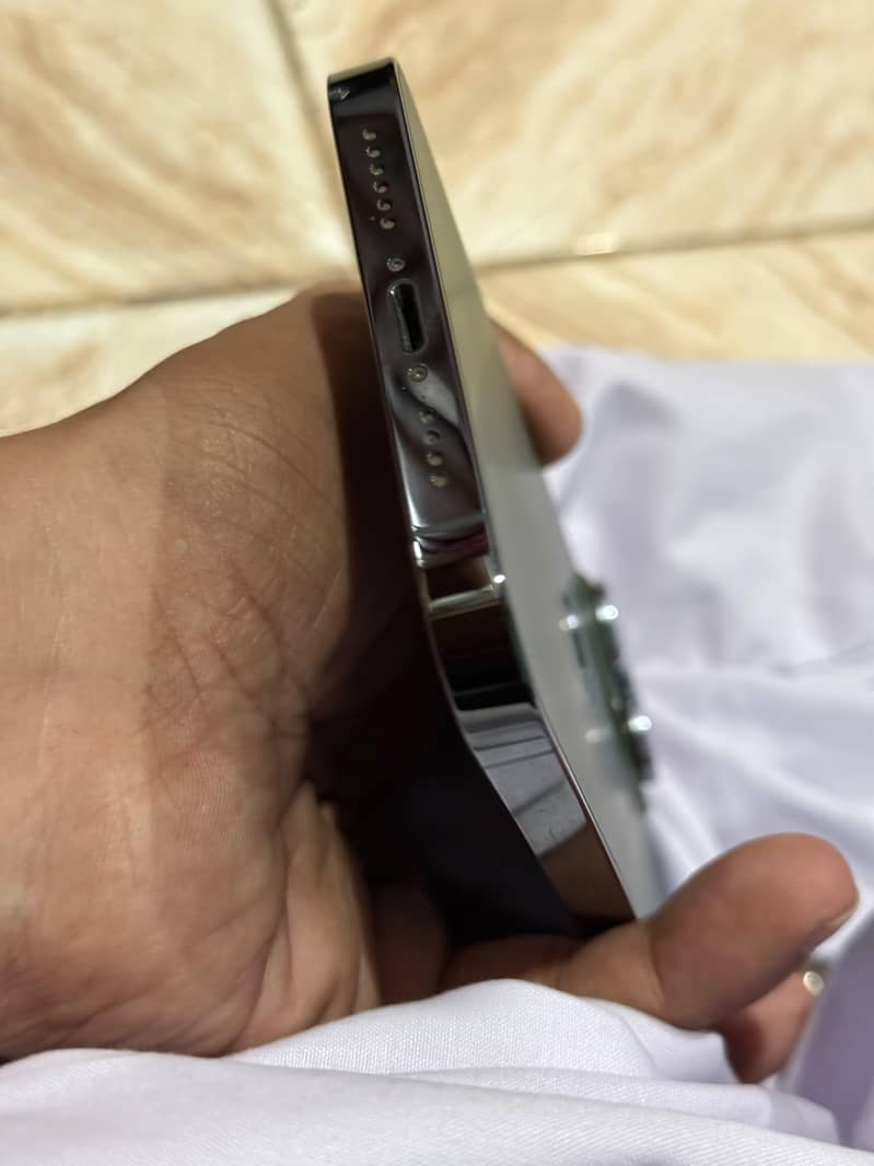 Apple iPhone 13 Pro Max 1