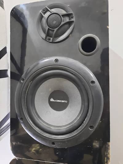 Sony Speakers With Amplifier