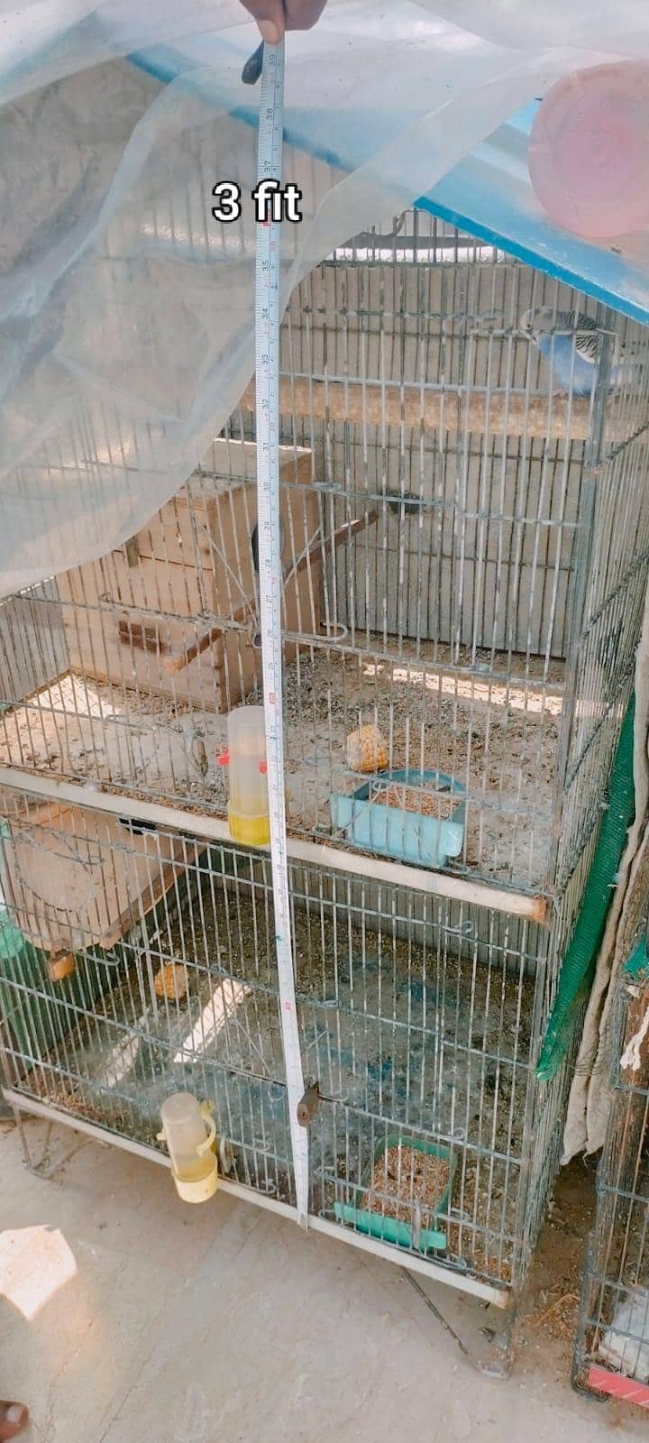 Big Cages 0