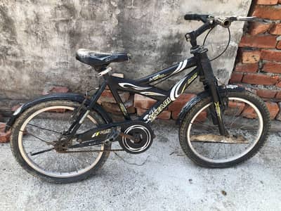 Mountain Bicycle