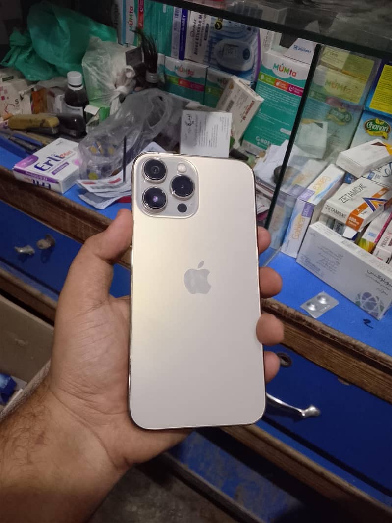 Apple iPhone 13 Pro Max 0