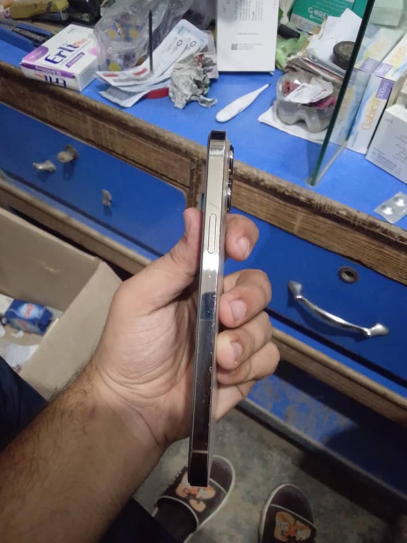 Apple iPhone 13 Pro Max 2