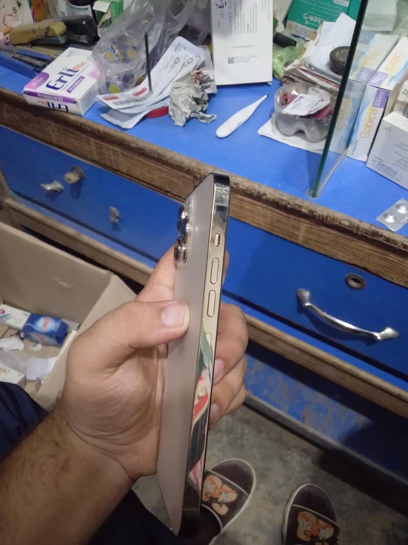 Apple iPhone 13 Pro Max 3
