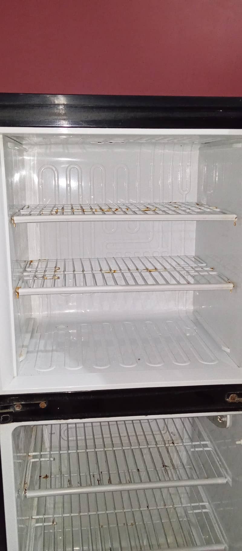 PEL Glass Door Refrigerator GDTM Green Texture Mirror - Refrigerators ...
