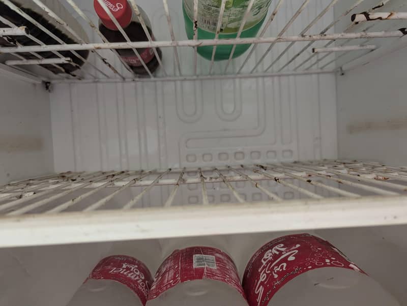 Fridge large size 6