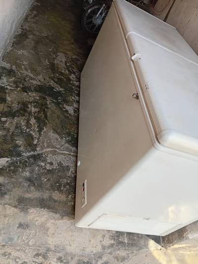 Haier freezer