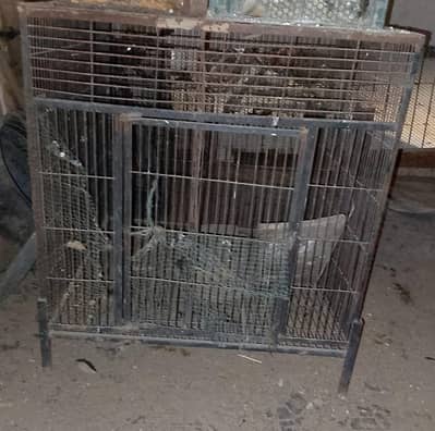 Cage For Sae