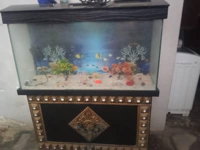 Aquarium 10/10