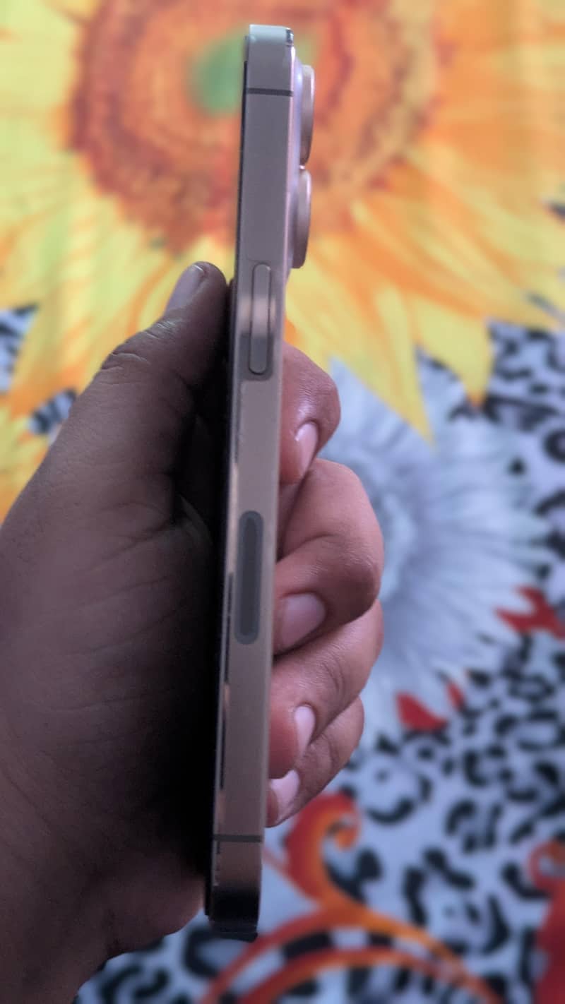 Apple iPhone 13 Pro 3