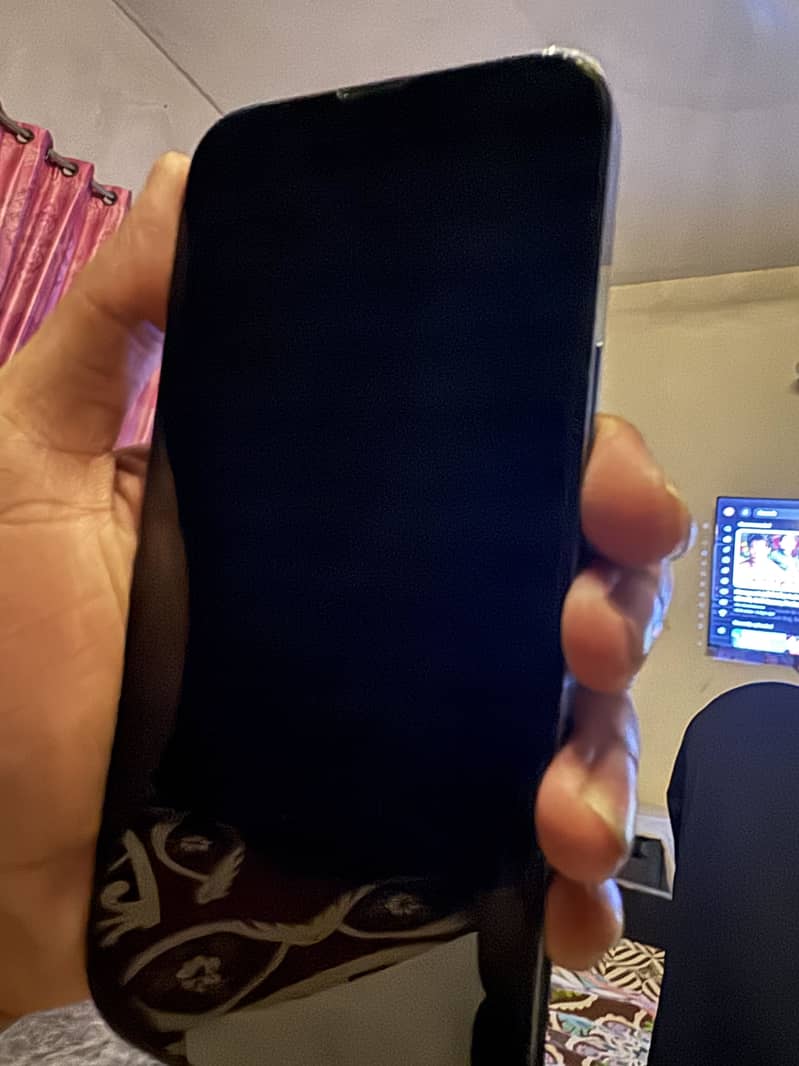Apple iPhone 13 Pro Max 1