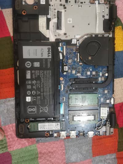 3493 urgent (10th gen)