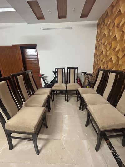 Dining Chairs