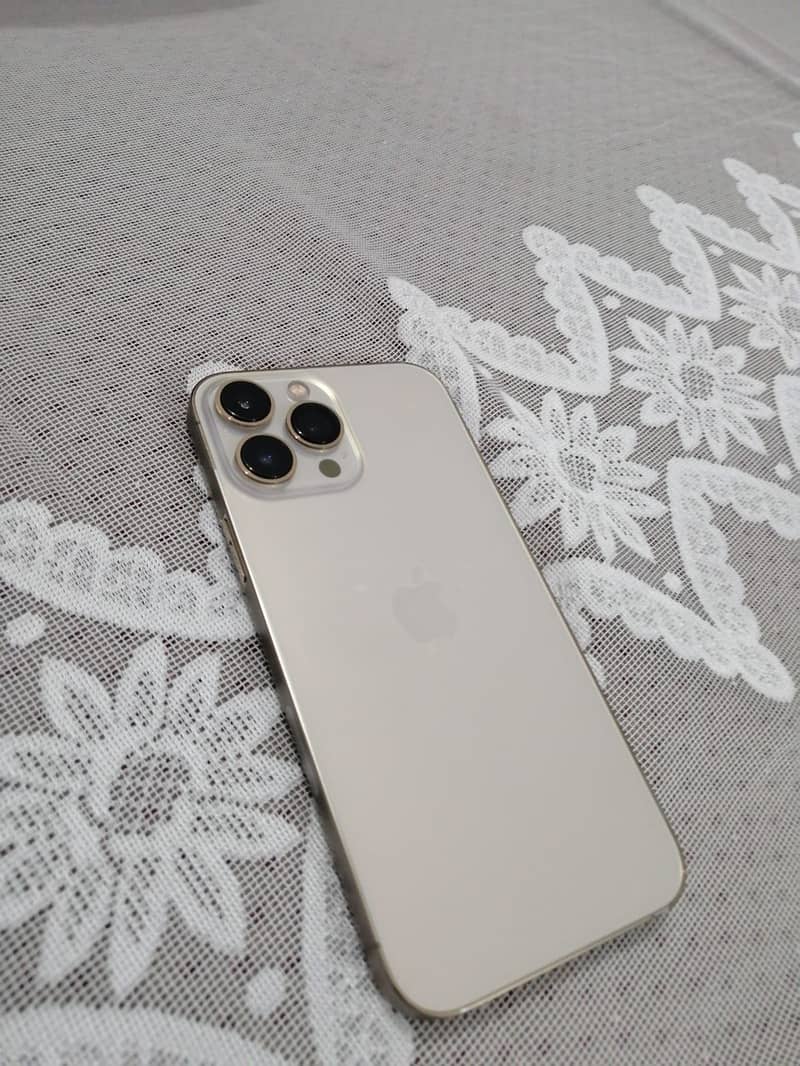 Apple iPhone 13 Pro Max 1