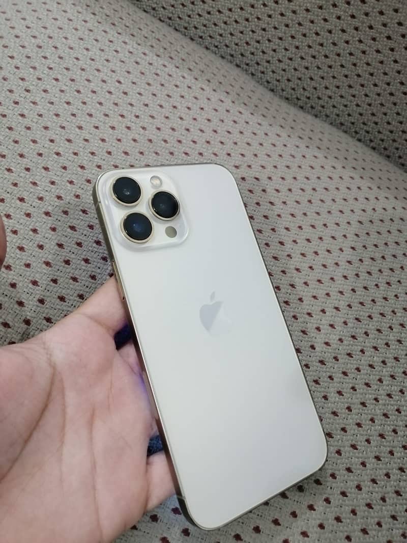 Apple iPhone 13 Pro Max 3