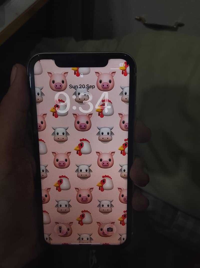 Apple iPhone 11 1