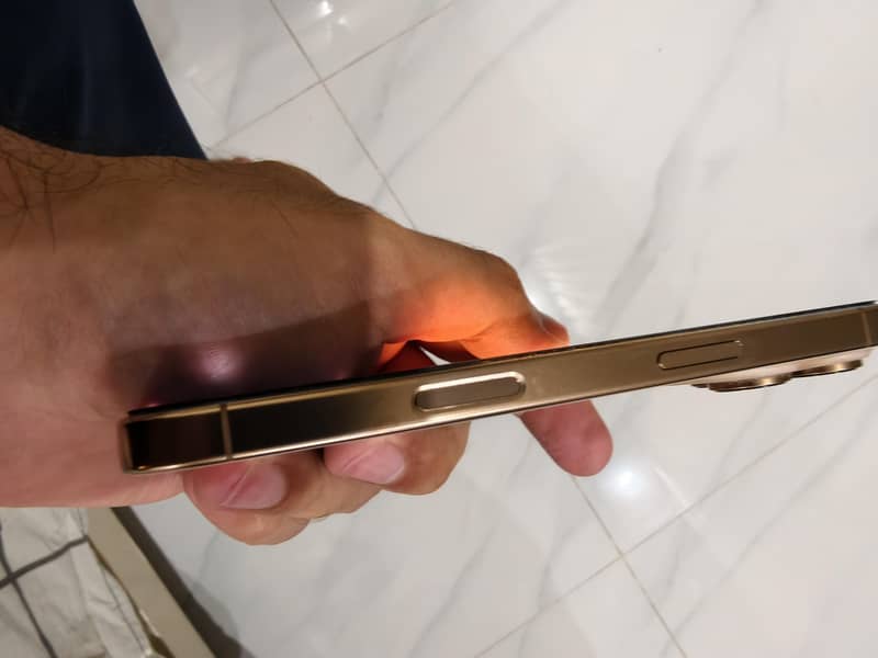 Apple iPhone 16 Pro 1