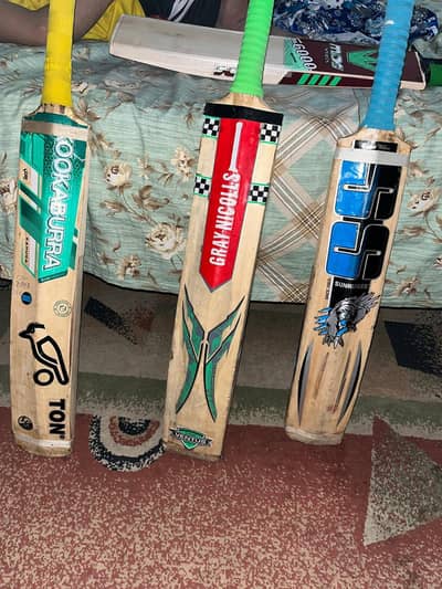 hard ball cricket bat