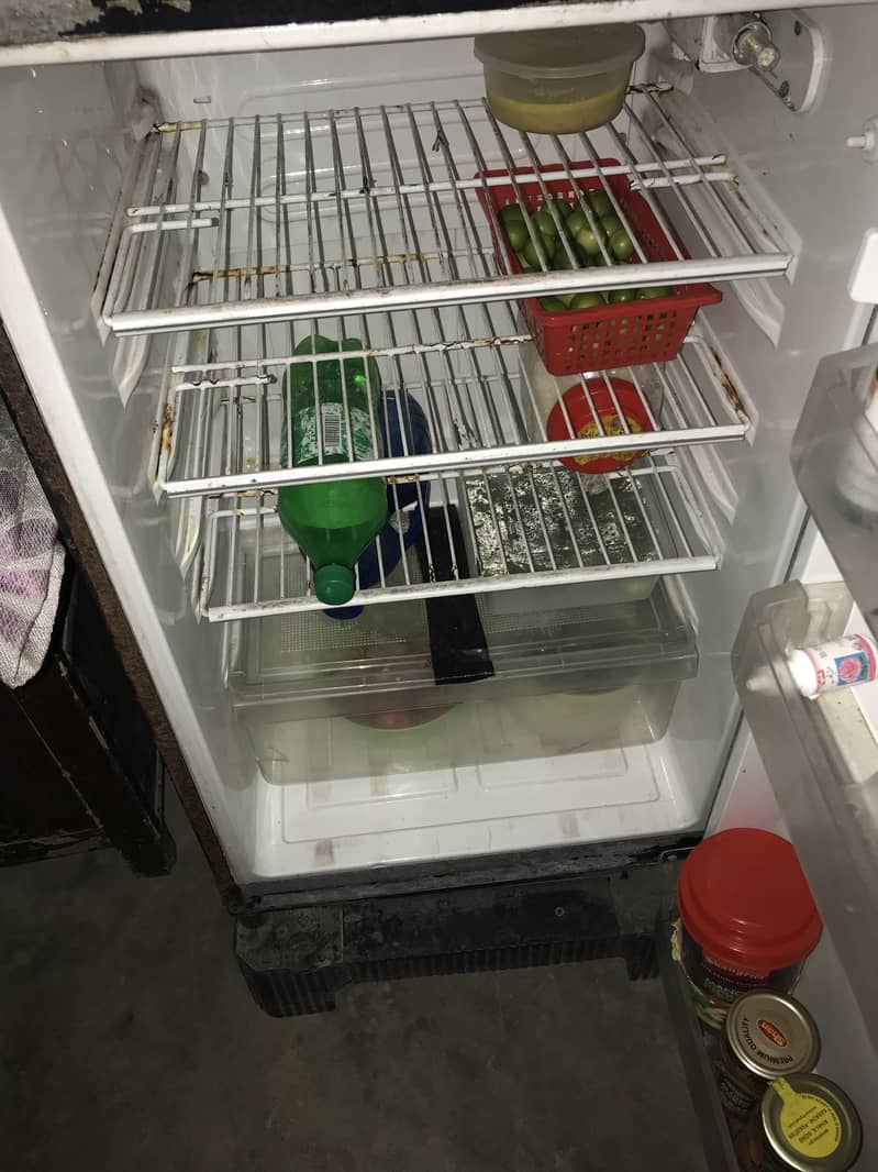 Pel fridge 5