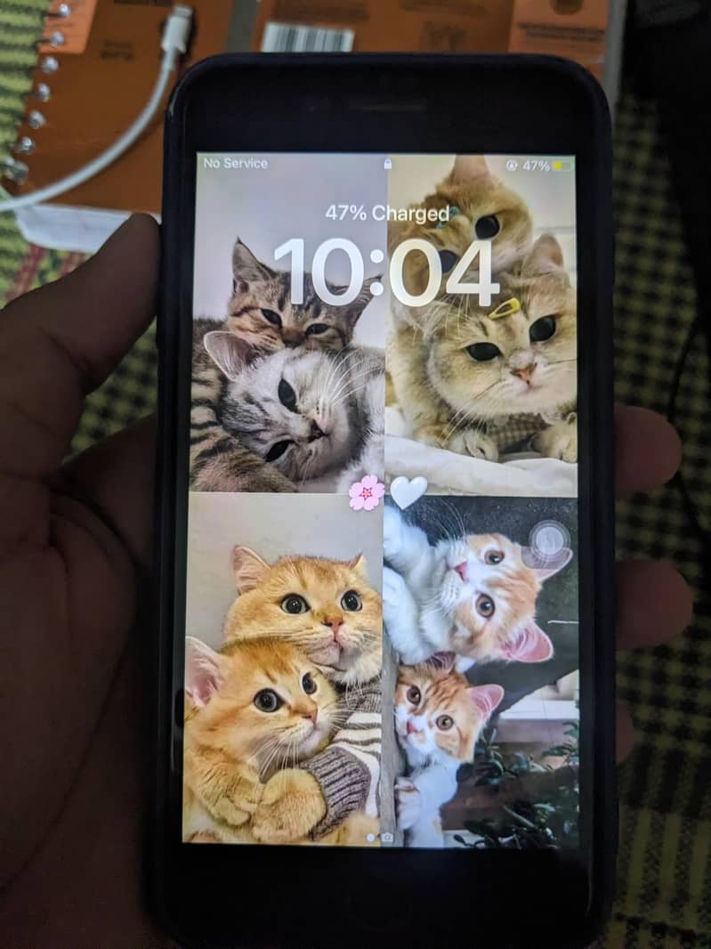 Apple iPhone 8 Plus 1