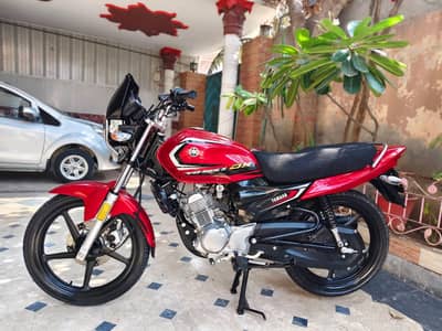 Yamaha 125 Ybz DX 2025 Brand New
