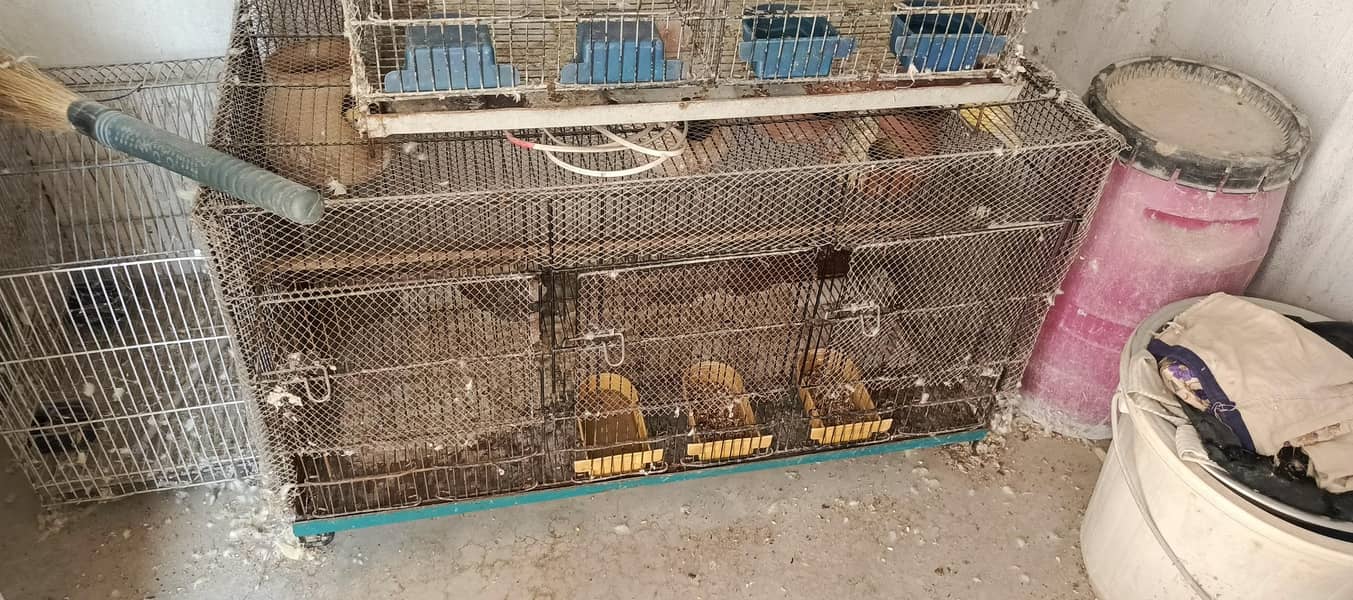 cages 0