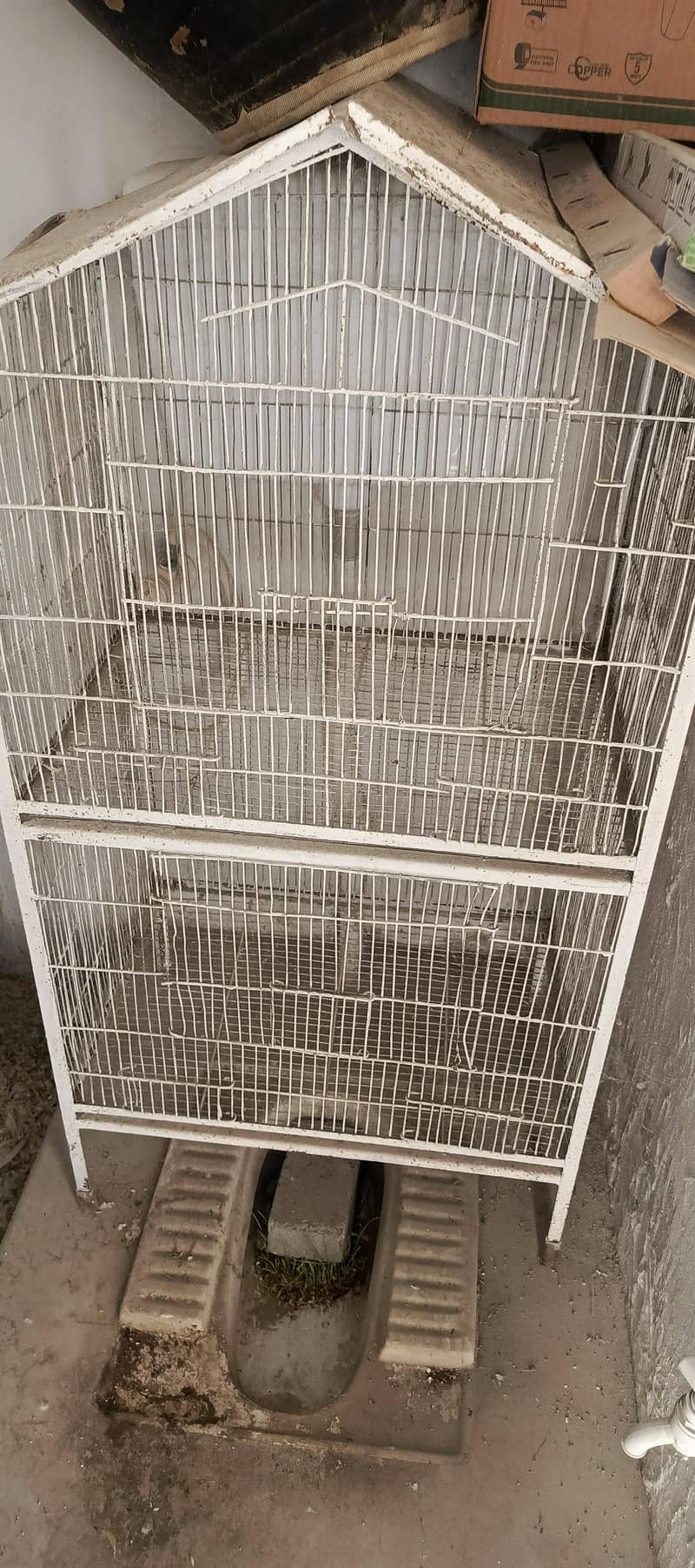 cages 1